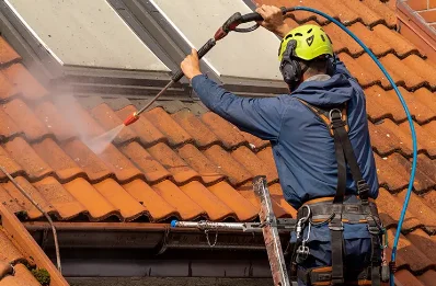 Démoussage et hydrofuge de toiture à Lachaussée